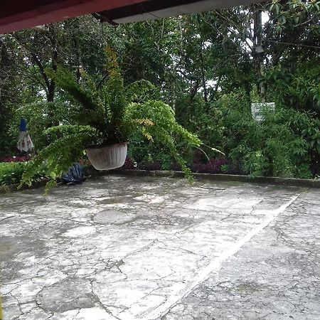 Villa Olaya Xilitla Exterior photo